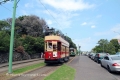 Auckland-190316-07