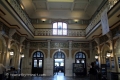 Dunedin-190312-03