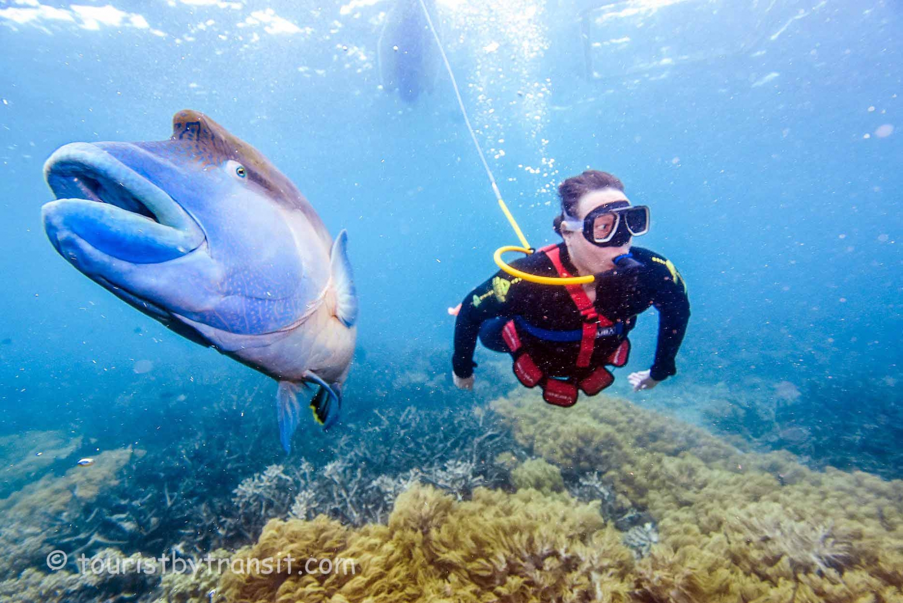 GreatBarrierReef-190322-12