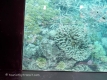 GreatBarrierReef-190322-24