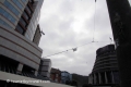 Wellington-190314-17